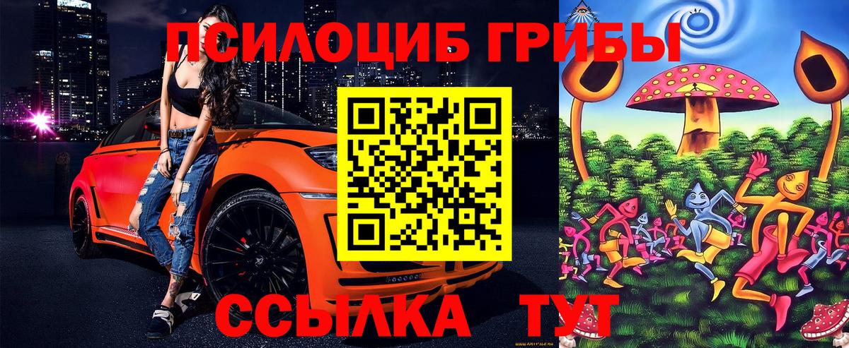 Псилоцибиновые грибы GOLDEN TEACHER  Псилоцибиновые грибы мухоморы  Мурманск  Вход с VPN 