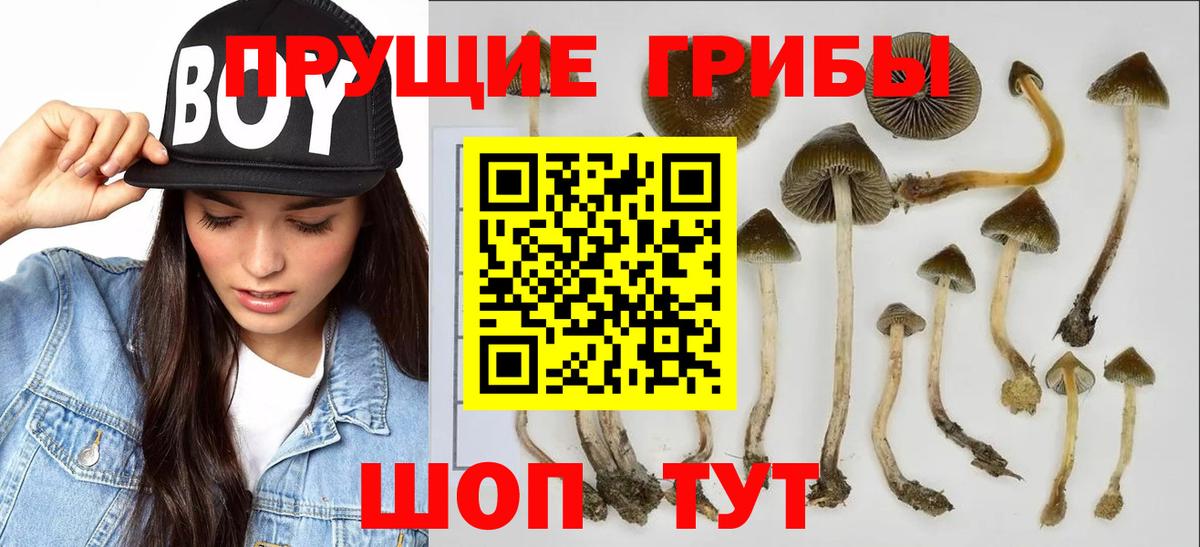 Псилоцибиновые грибы мухоморы Мурманск
